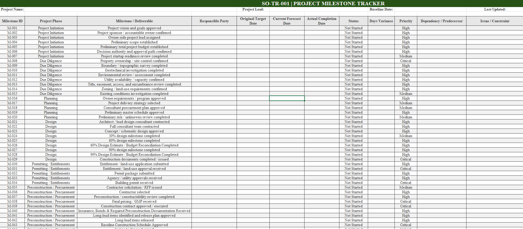 Salt & Oak Development - Project Milestone Tracker preview
